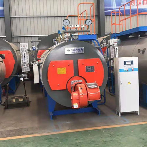 平果燃?xì)鉄崴仩t 廠家直銷，品質(zhì)可靠，價(jià)格實(shí)惠