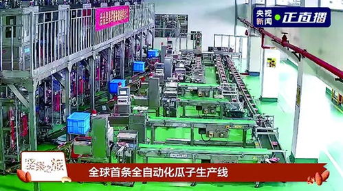 洽洽食品榮膺新華社民族品牌工程，引領民族品牌新篇章